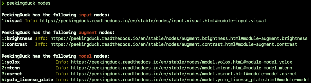 PeekingDuck screenshot : nodes output
